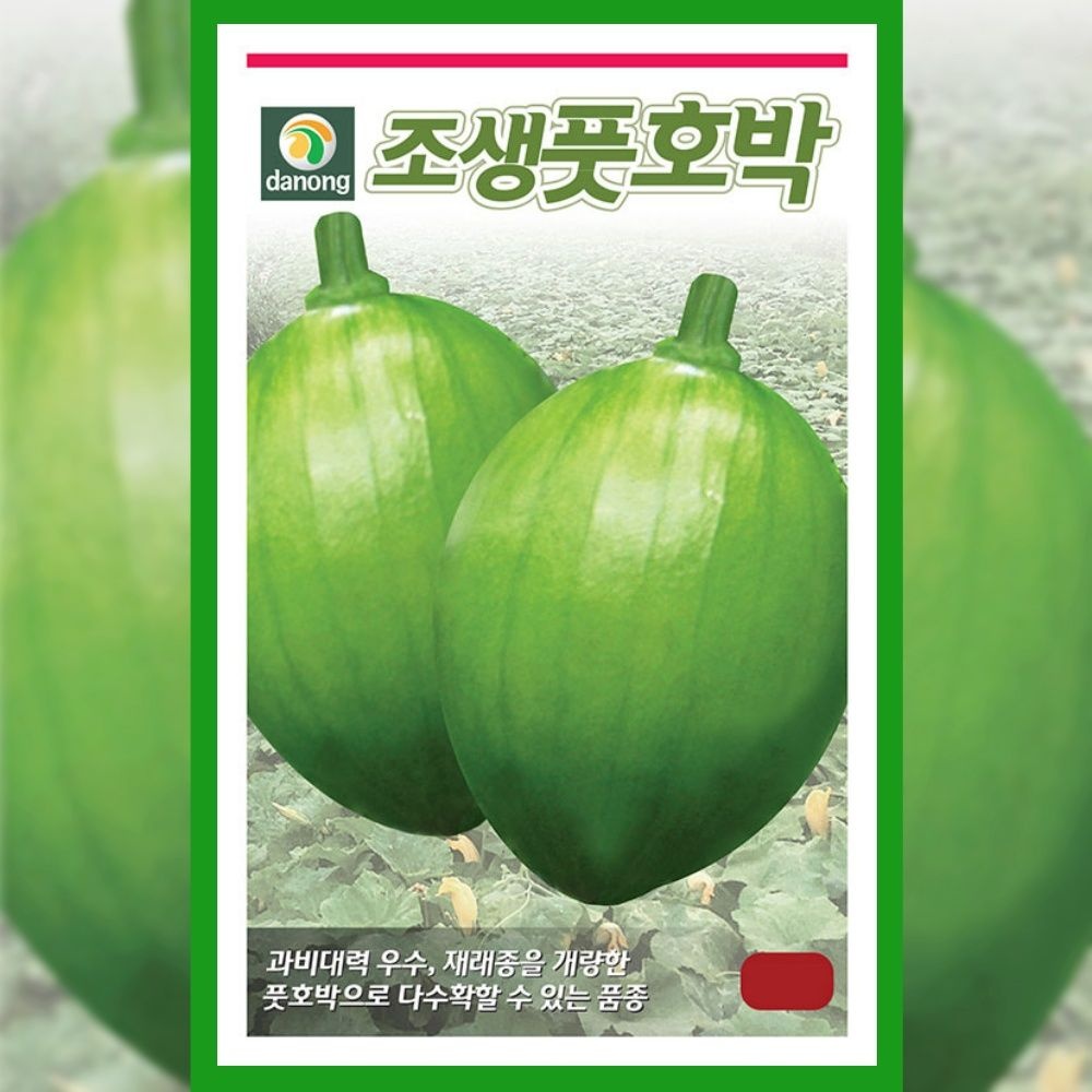 호박 씨앗 조생 풋호박 60립 종자 야채 채소 텃밭