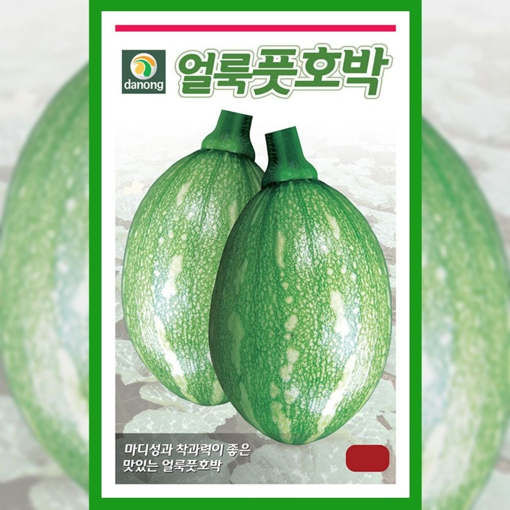 호박 씨앗 얼룩 풋호박 60립 종자 야채 채소 텃밭