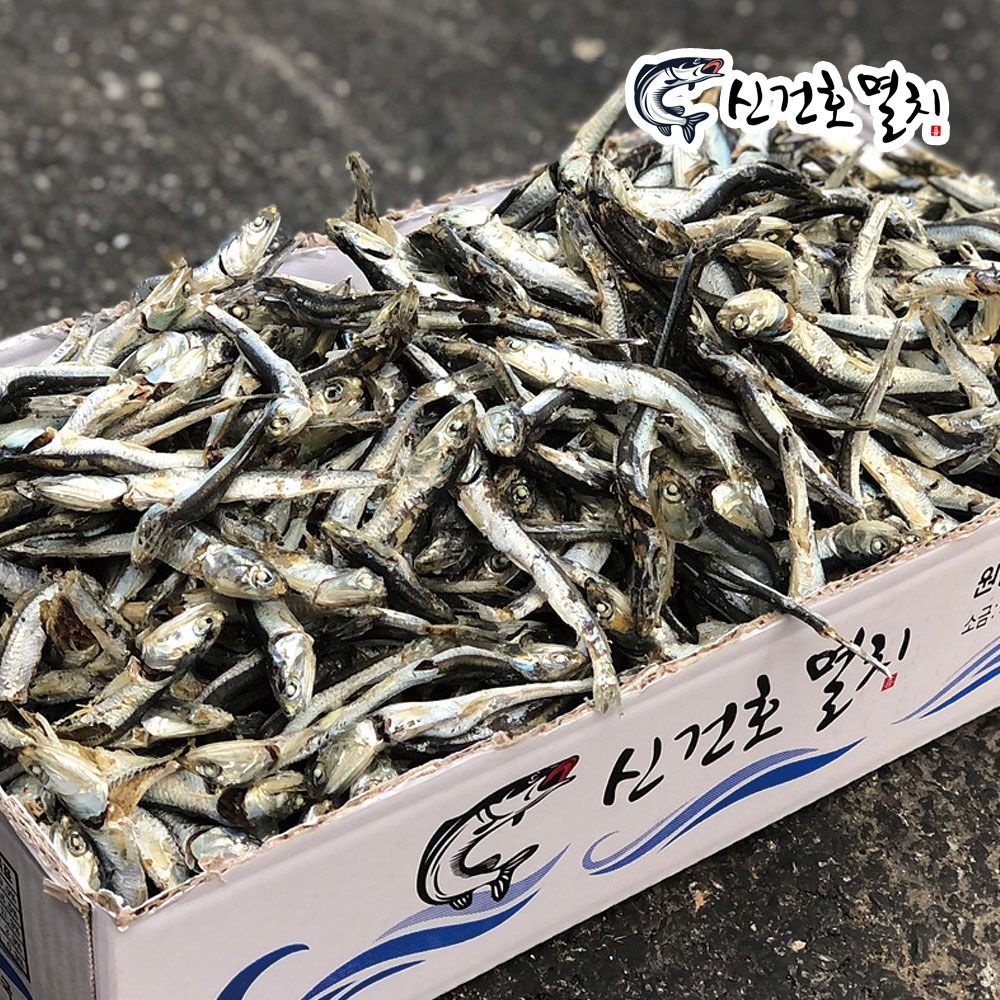 [오늘출발] 신건호멸치 가정용 다시멸치 1.5kg 건멸치 국멸치 국물용멸치 멸치