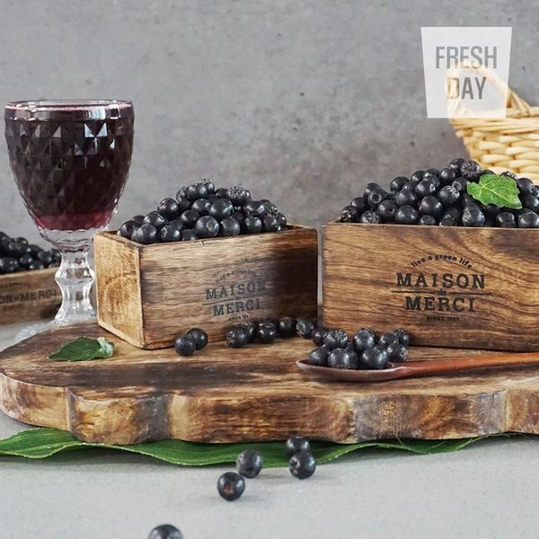 프레시데이 [하프클럽]고창 줄기제거 아로니아 생과 특품 10kg