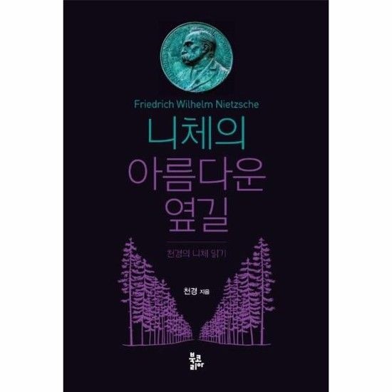니체의 아름다운 옆길 - 천경의 니체 읽기