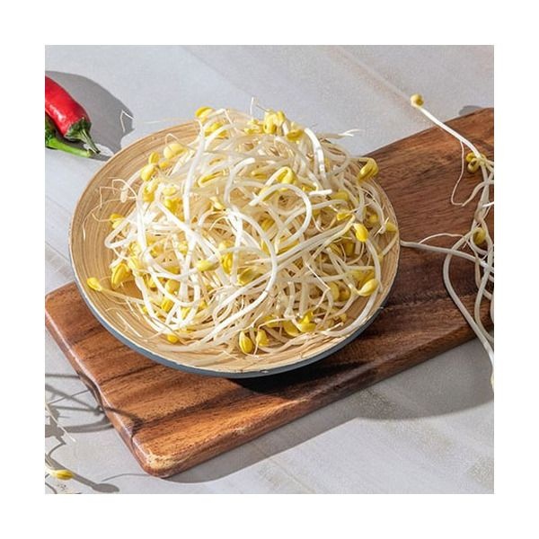 [전남생협] 국내산콩으로 키운 무농약 콩나물 1kg