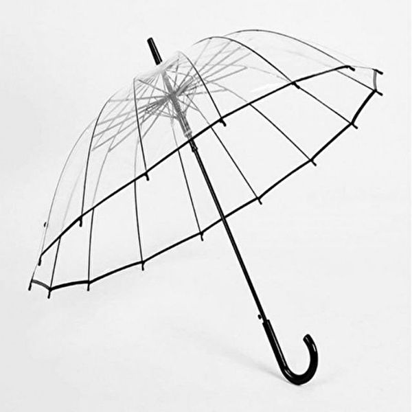 튼튼한 여름 장우산 있는 16K 하늘 수 바라볼 원터치 투명 우산-WFINOVS