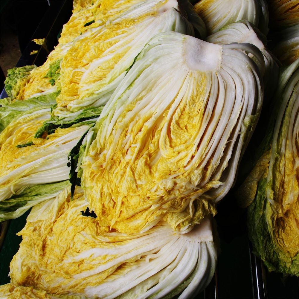 홍천농장절임배추 고랭지절임배추 20kg