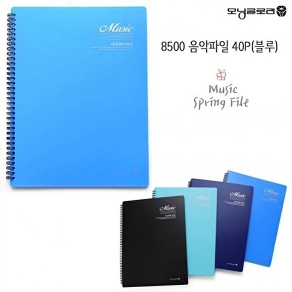 고품질 음악파일 화일 음반 앨범 보관 앨범 40P 블루 학용품 음악화일 스프링화일 시스템화일 WFIPF4A