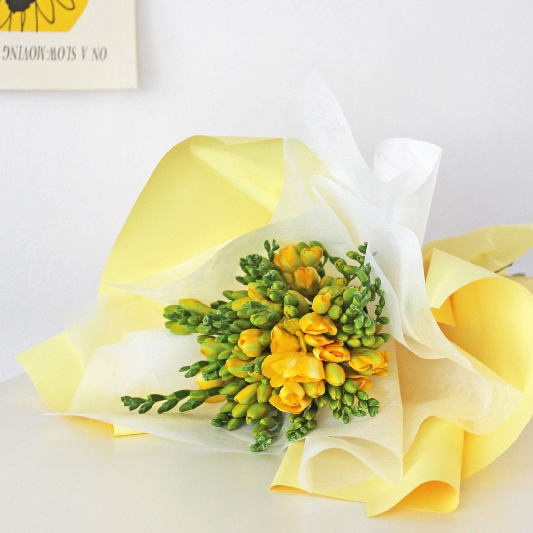 마이플랜트 (현대Hmall) 마이플랜트 생화 옐로우 프리지아 꽃다발 꽃선물 화병 꽃 포장 경매 꽃배달 정기구독