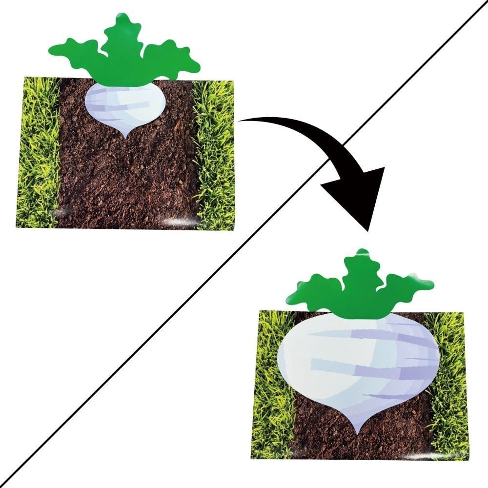 제이엘 무뽑기 마술 대만 부를뽑기 독점 이선생