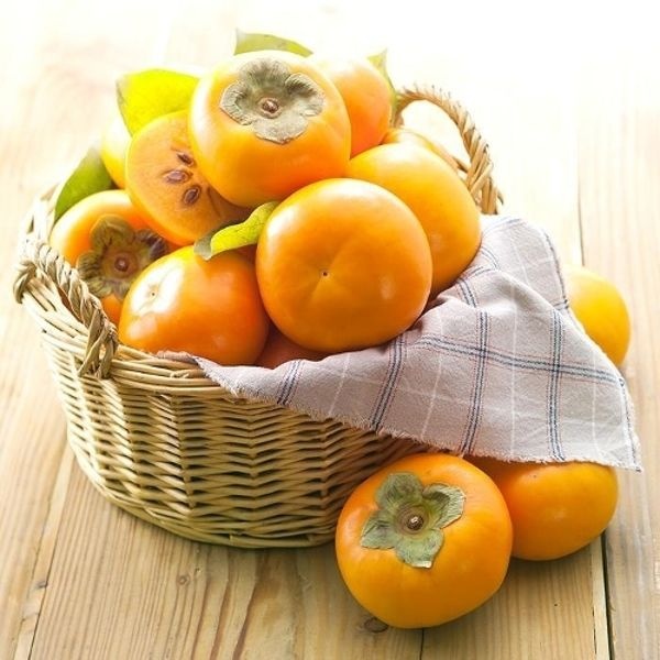 단감 햇단감 10kg 중(41-45과) 가정용 아삭단감 홍시