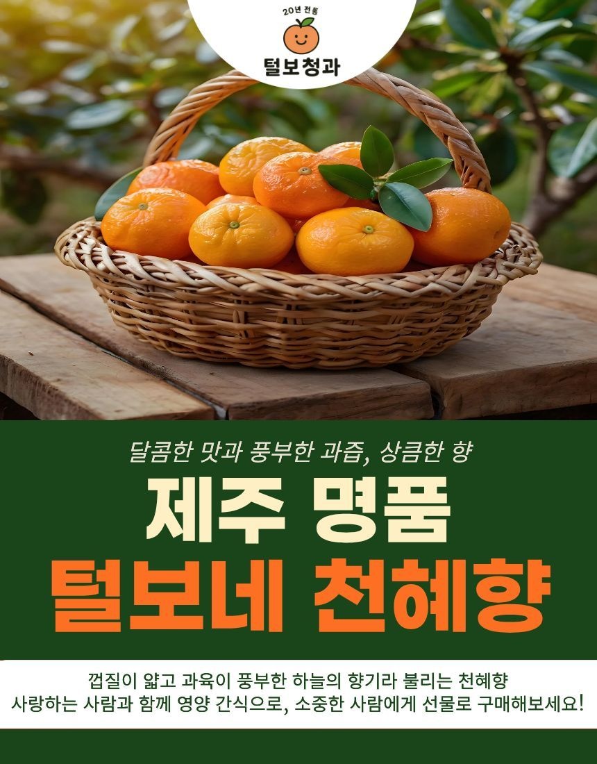 [온누리상품] [털보네]천상의향기 제주 프리미엄 천혜향 특품3kg,5kg,가정용