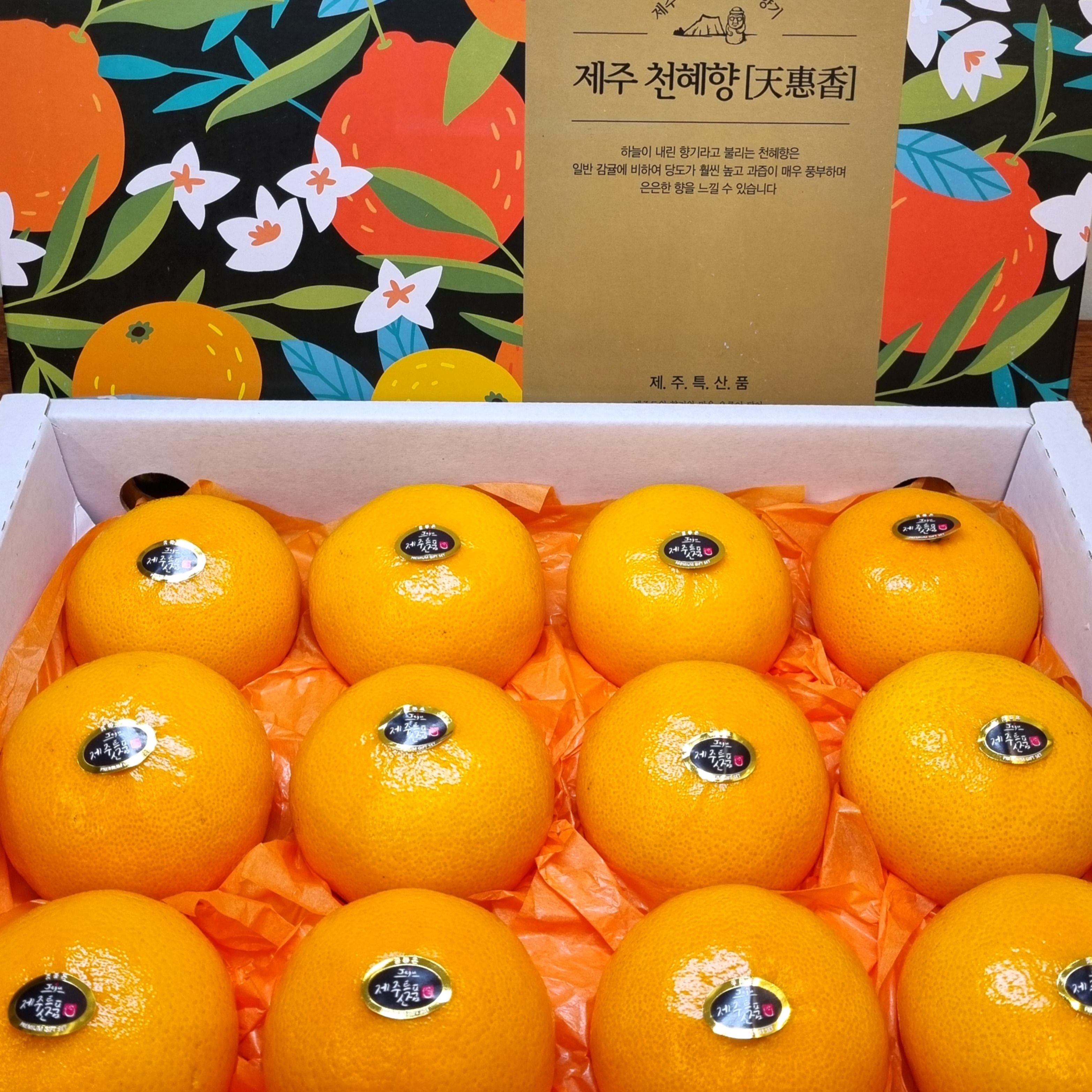 [롯데온]천혜향 3kg (28,770원/무배)