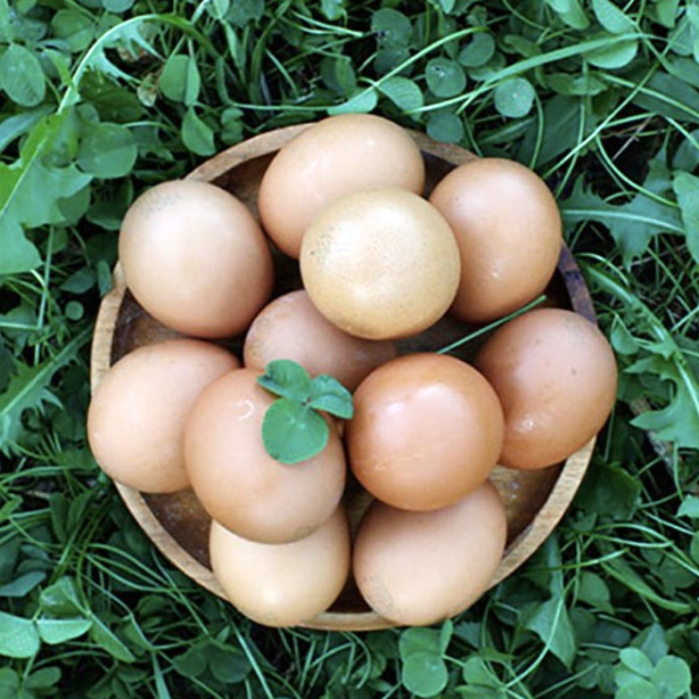 [난각번호2번] 신선보장 무항생제 유정란(대란) 20구 / HACCP