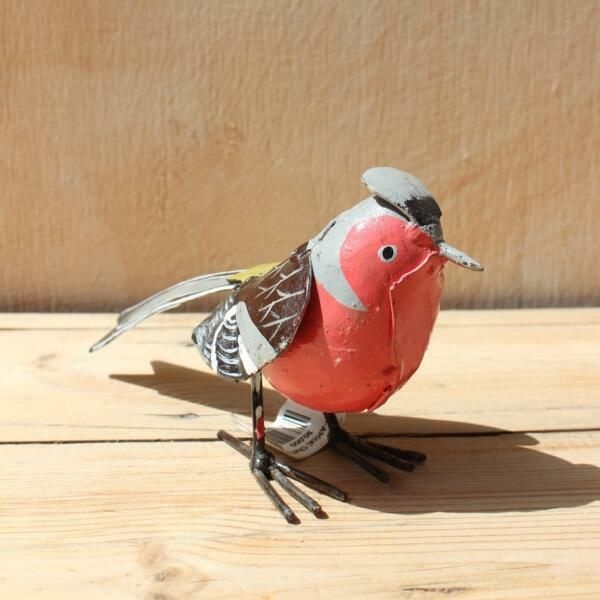 (현대Hmall) 아트박스/그린무어 치아프리카 되새 Chaffinch