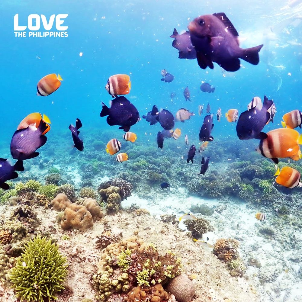 보라카이 4일 파라다이스가든 슬림 패키지