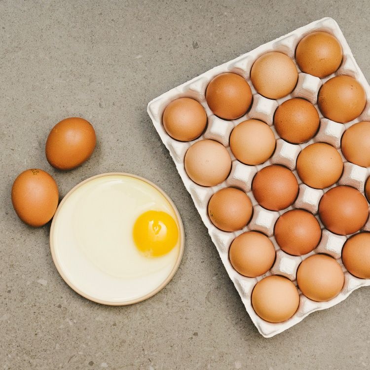 HACCP인증 난각번호 1번 무항생제 유정란 20구