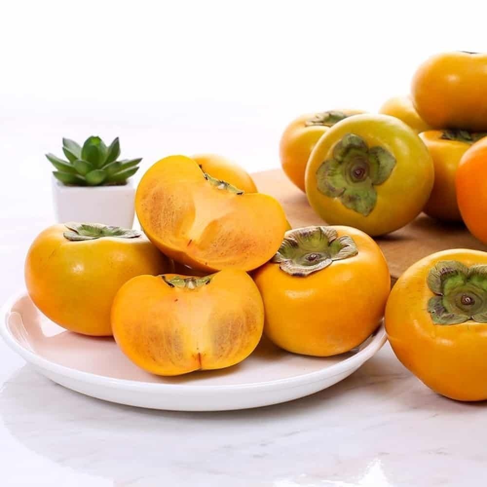 위센티브 협력사 다온샵 햇단감 10KG 대(36-40과) 설날선물세트 단감선물