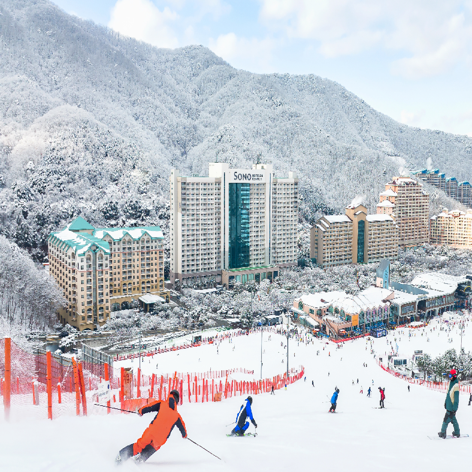홍천 비발디파크 오션월드 및 스키 이용권