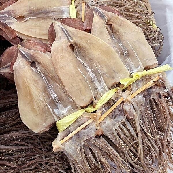 한가네수산 국내산 영덕 마른오징어 중 10마리 500g내외