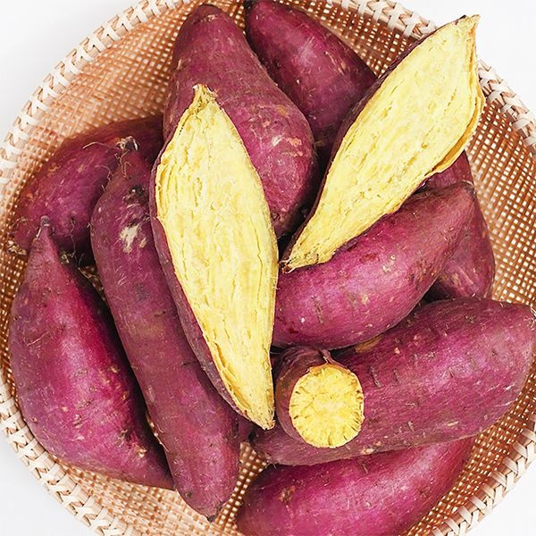 [온누리상품] [경매직송] 25년 퍽퍽하고 타박한 햇 25호 진짜 밤고구마 (한입/로얄) 2Kg/3Kg/5Kg