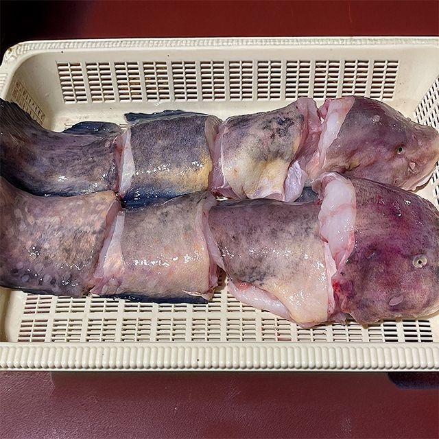 장보리 산지직송 손질 생물 물메기 1-2미 1.5kg