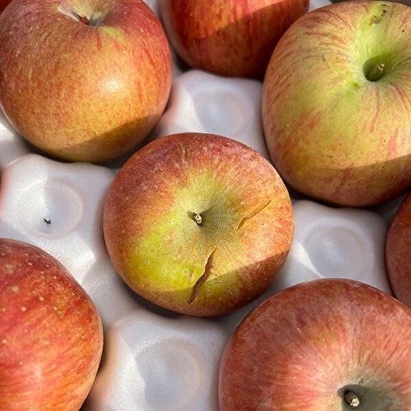 [셀러허브 식품]경북 부사 사과 10kg 48-60과 중소과 못난이사과 부사 햇사과 꿀사과 햇부사 사과 한박스 흠사과...