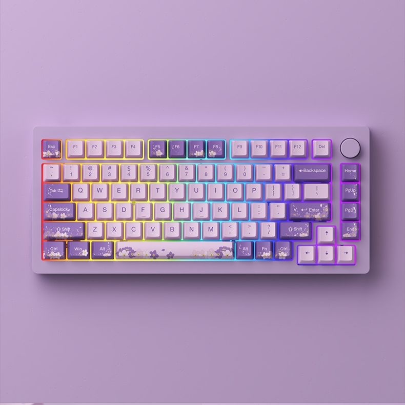 [해외] 몬스긱 M1 기계식키보드 핫스왑 가스켓 75배열 RGB