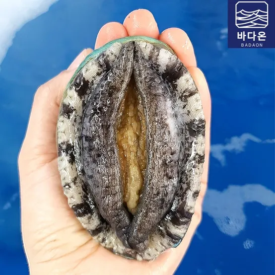 완도활전복 1kg 7-8미(미당125g내외) [산소팩, 무료배송]