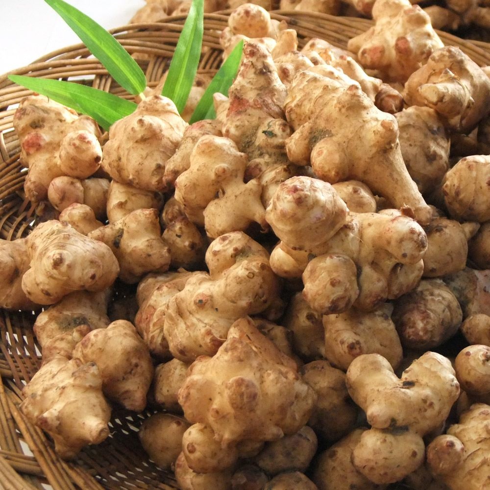 국내산 돼지감자 3kg/5kg