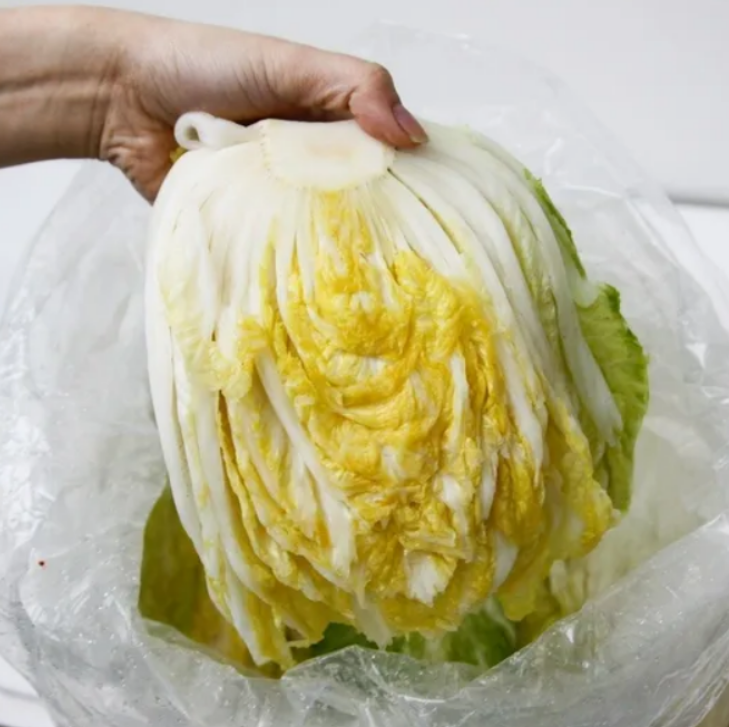 [산지직송]강원도 청정 고랭지 절임배추 20kg