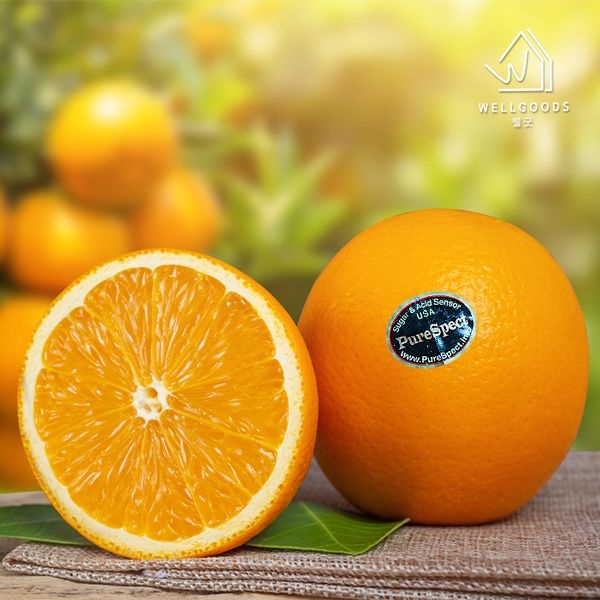 (현대Hmall) [웰굿] 퓨어스팩 블랙라벨 오렌지 17kg(72과내외 개당220g내외)