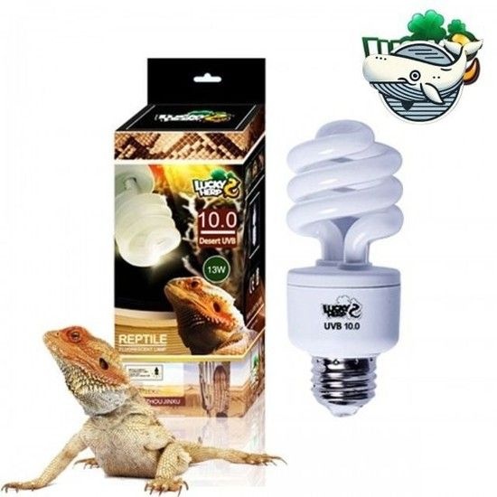 파충류 적합 조명 전구 사막형 도마뱀 램프 UVB램프 거북이램프 거북이UVB램프 파충류램프
