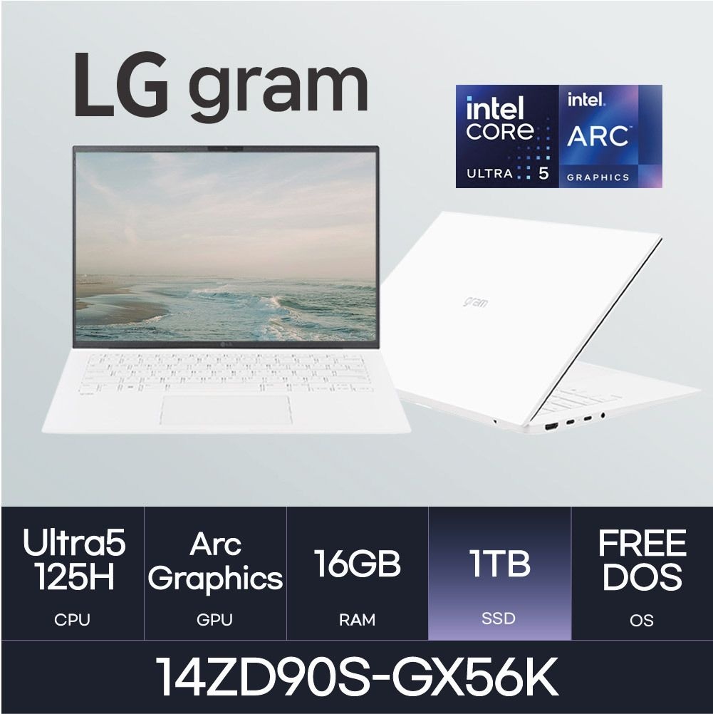 LG전자 HMC / LG전자 그램14 / 14ZD90S-GX56K (RAM 16GB / NVMe 1TB)