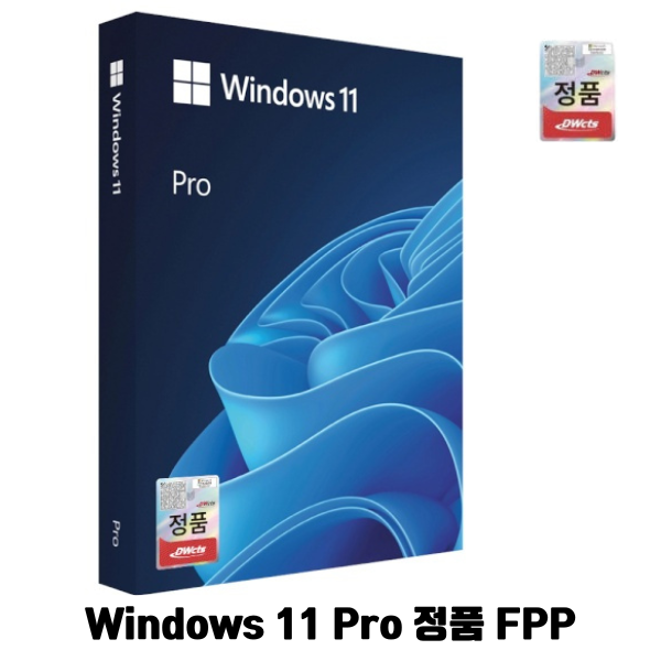 상품상세참조 마이크로소프트 윈도우 11 프로 FPP(Windows 11 Pro FPP) 처음사용자용 한글 USB 패키지