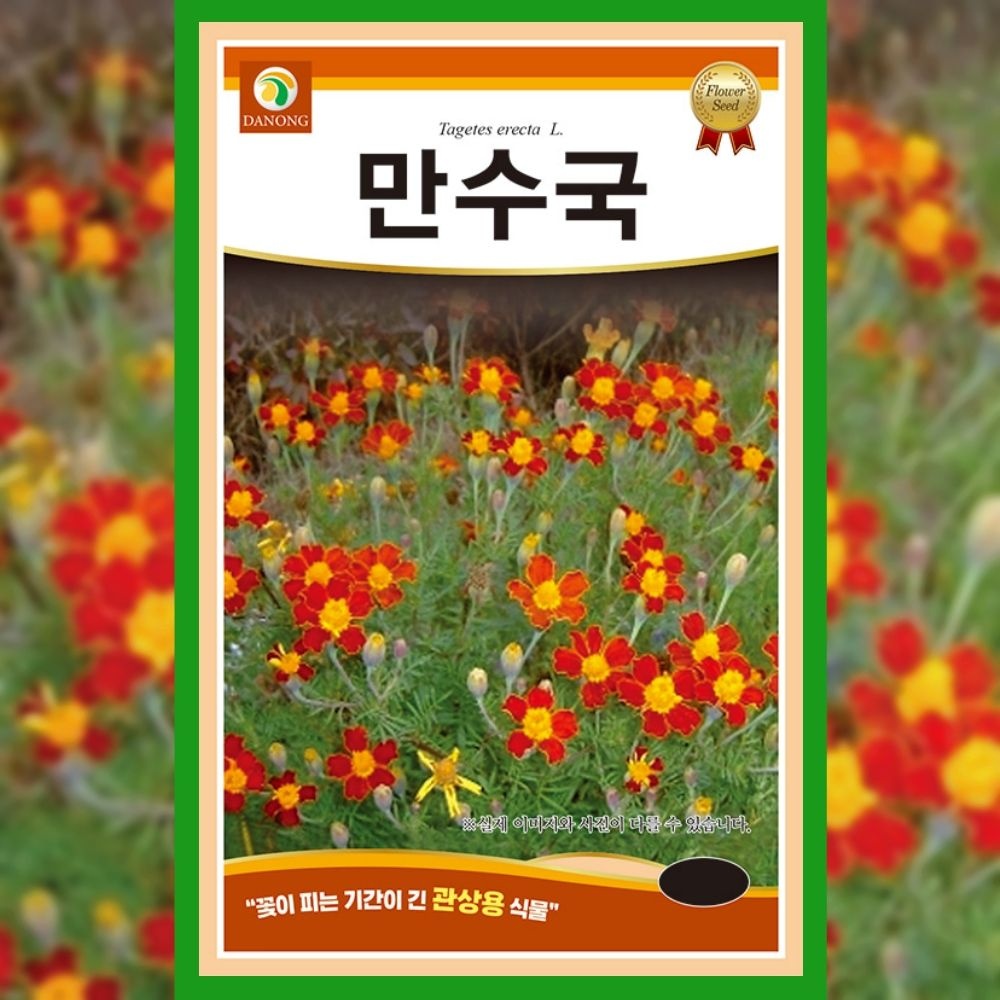 파머씨드 협력업체 만수국 씨앗 80립 메리골드 종자 꽃씨 겹꽃 금잔화