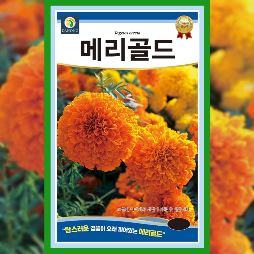 파머씨드 협력업체 메리골드 씨앗 100립 금잔화 종자 꽃씨 야생화 만수국
