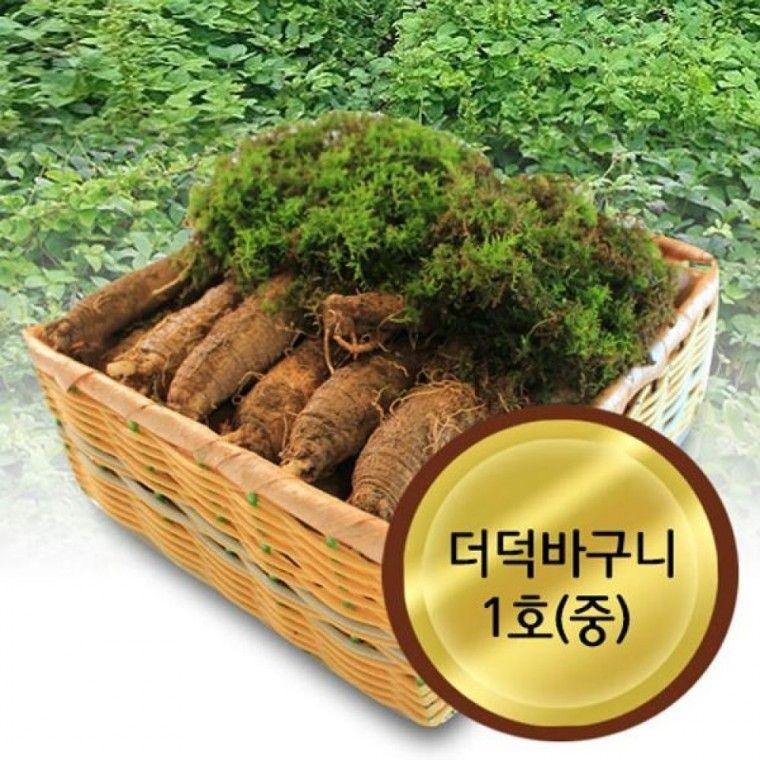 어사매횡성더덕영농조합법인 더덕바구니1호(1kg) 식품 바구니 채소 요리 더덕 효능