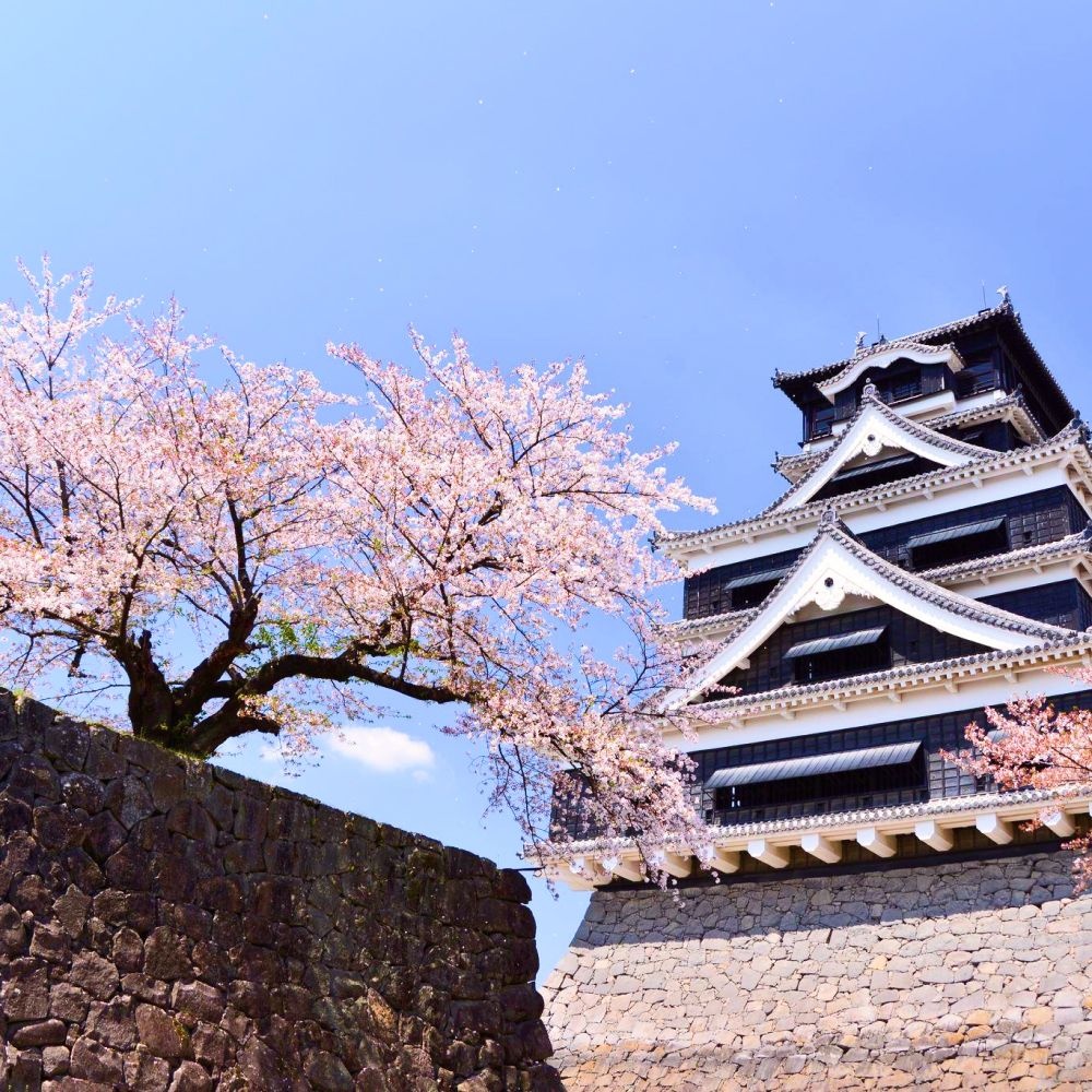 일본 후쿠오카 자유여행 3일/4일