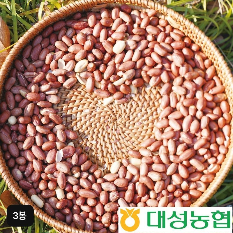 25년 대성농협 국산 고소한 볶음알땅콩 300gX3봉[35666790]