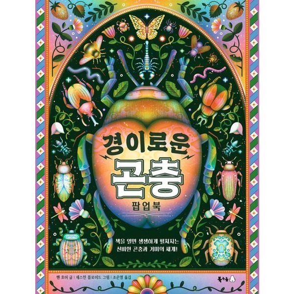 경이로운 곤충 팝업북 [양장] (북극곰 궁금해 시리즈 26)