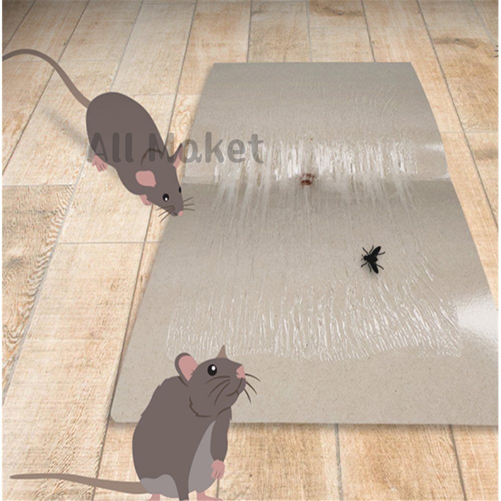 모든마켓 스페셜 노런 쥐본드 스페셜할인 스페셜신상품 스페셜소형