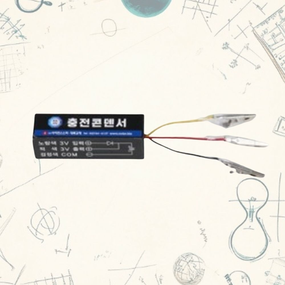 학교 과학교구 전자기기 안전성 보호 역류방지 충전콘덴서 실험 과학실험