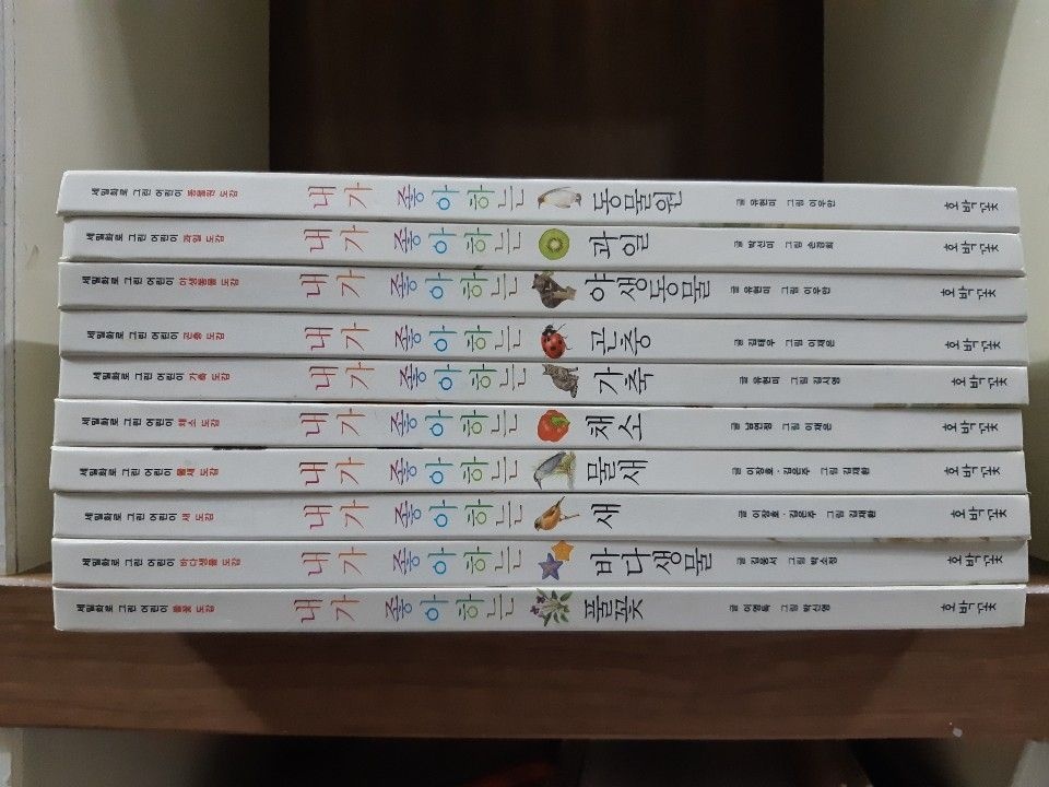 호박꽃 [개똥이네][중고-상] [세밀화로 그린 어린이 자연 관찰 시리즈](UG03)