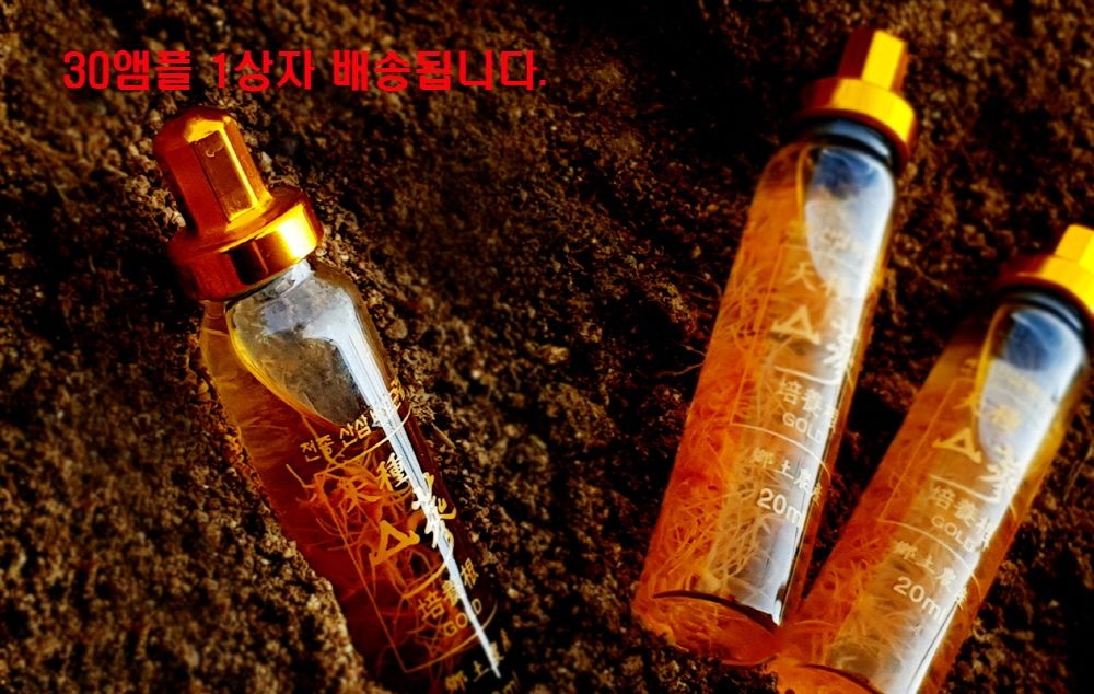 산삼 배양근 10만원대 부모님 설날 명절 선물세트 천종 산삼
