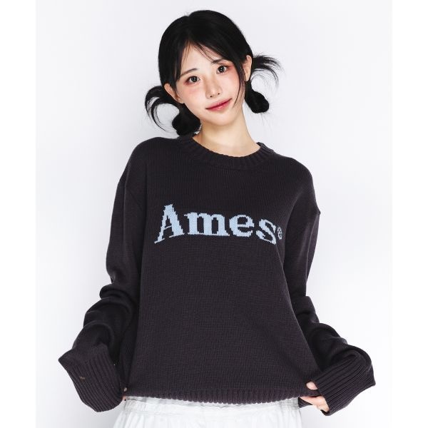 AMES-WORLDWIDE AMES-WRLDWIDE 와이드 [QWER 히나 착용]BASIC 베이직 PULLVE 러브R KNIT 니트 CHARCAL