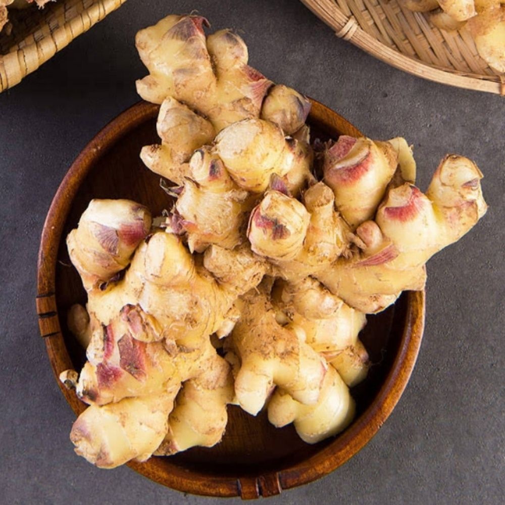 충남 서산생강 10KG 황토밭생강 서산생강10KG 햇생강 국산생강