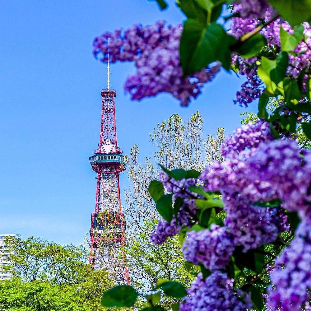 [트립ON] 홋카이도 자유여행 3박4일, 삿포로 최대 번화가 스스키노역 직결 삿포로 스트림 호텔 3박 