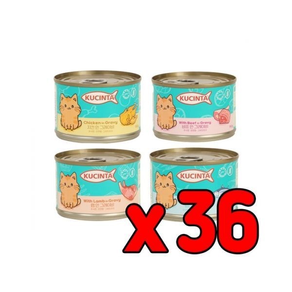 [특가할인12개x3box묶음]위)쿠친타 캣 150g