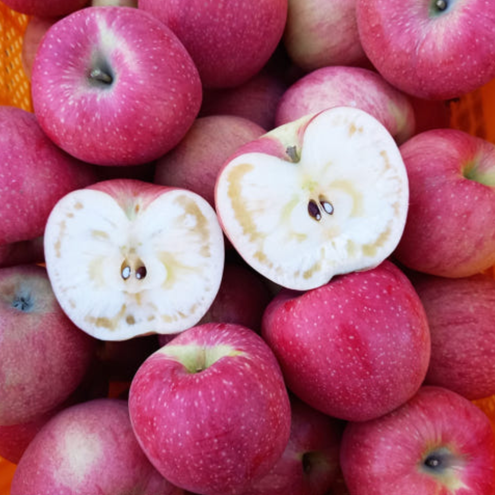 딱200박스만 청송 통째로먹는 꿀 부사 사과 10KG 대과