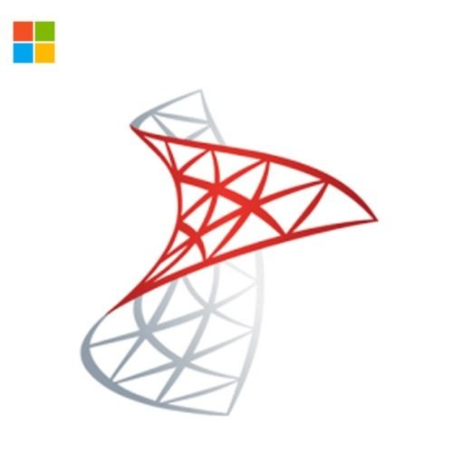 자체제작 MS SQL서버 SQLServer Enterprise 2Core 2025 CSP 라이선스