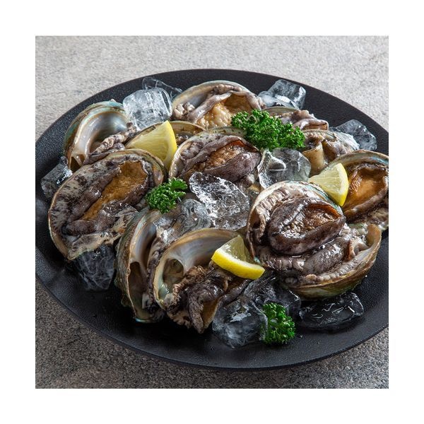 완도전복 1kg 9미 선물포장