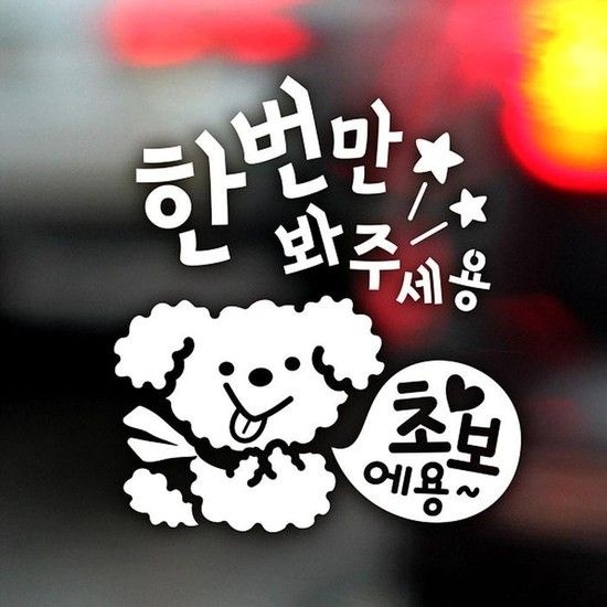 한번만봐주세원픽용 푸들이 초보운전스티커-반사